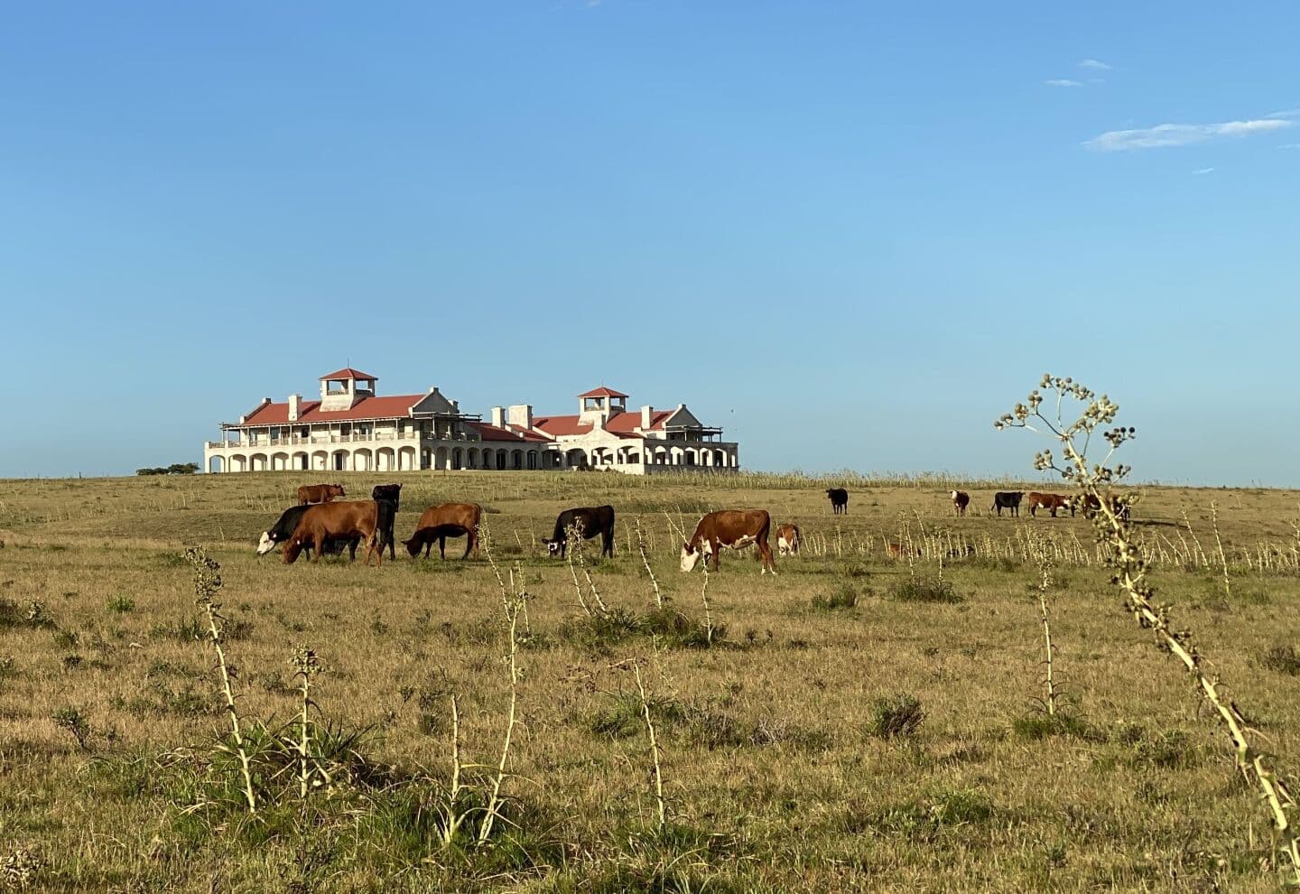 Estancia Vik Jose Ignacio photographed in Uruguay.