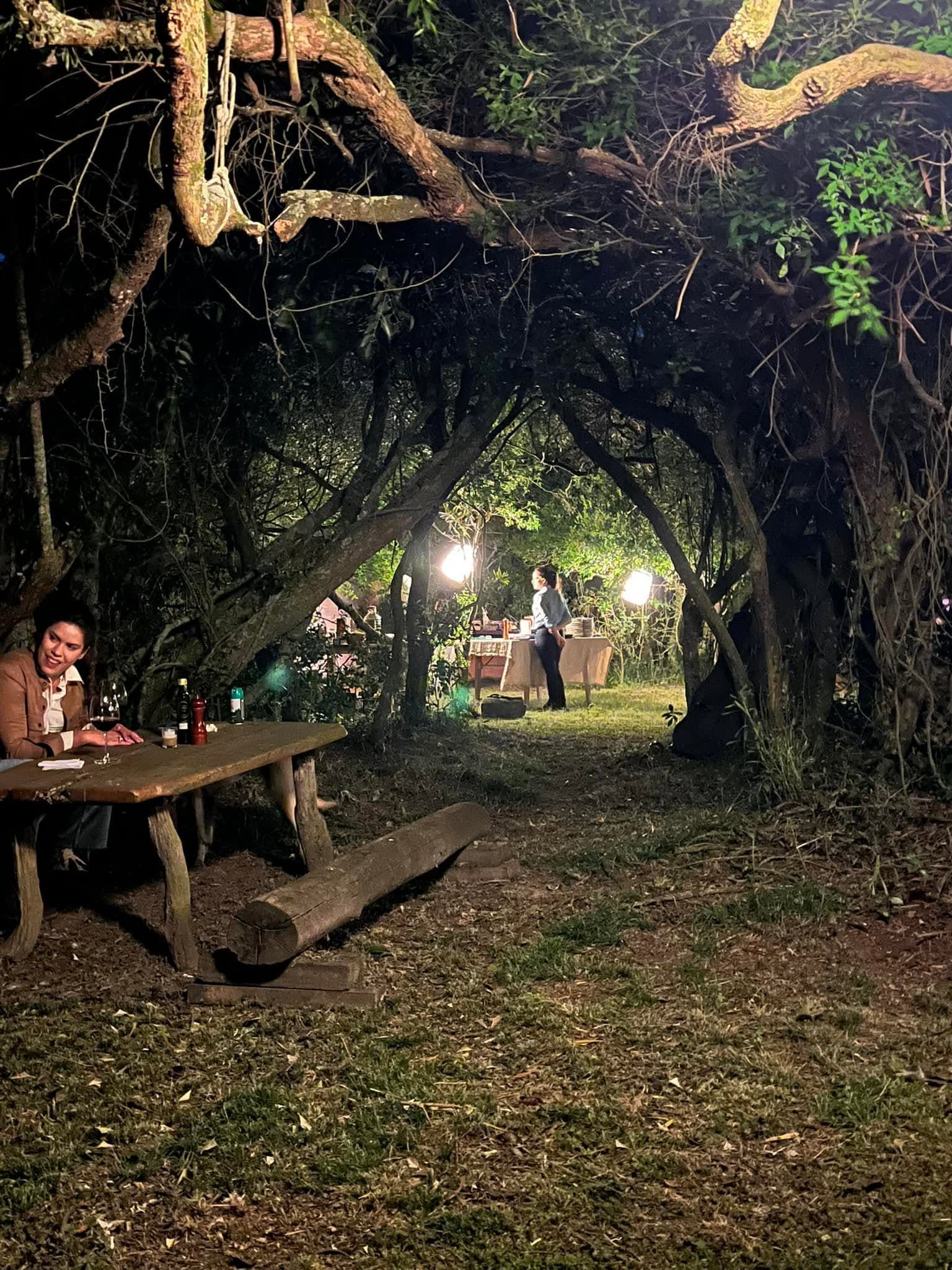 A tree-lined path forming a green tunnel in Uruguay.